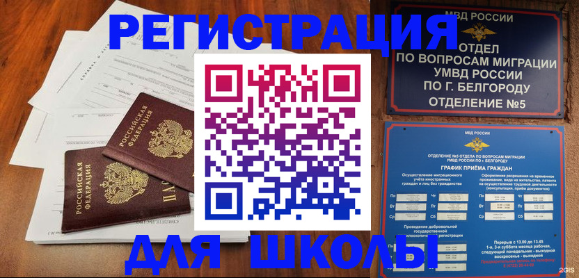 прописка поиск в Бабаево